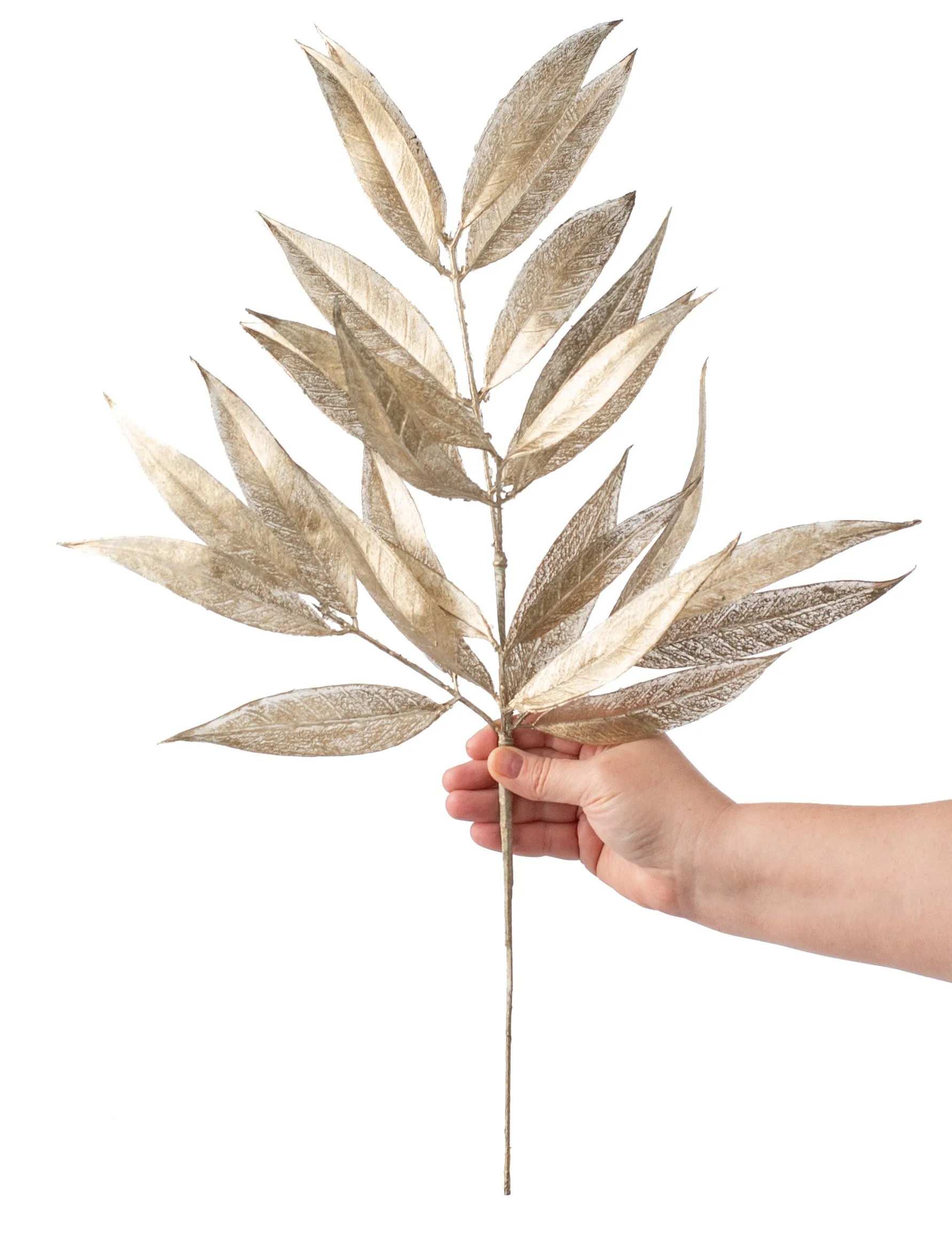 23" Metallic White Willow Leaf Spray: Champagne