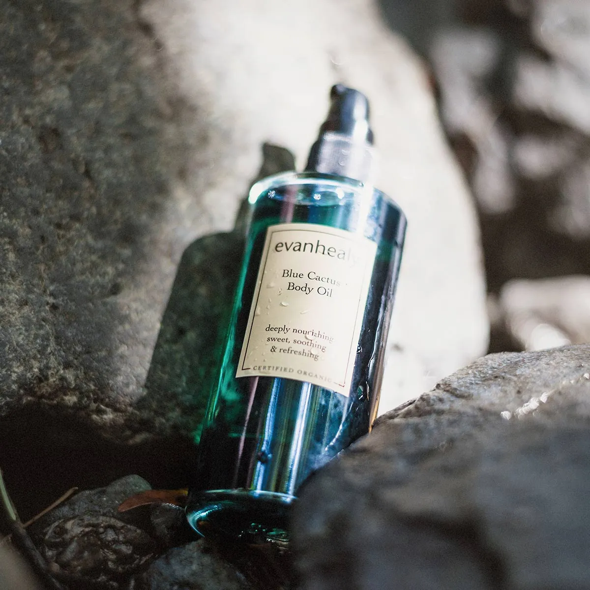 Blue Cactus Body Oil