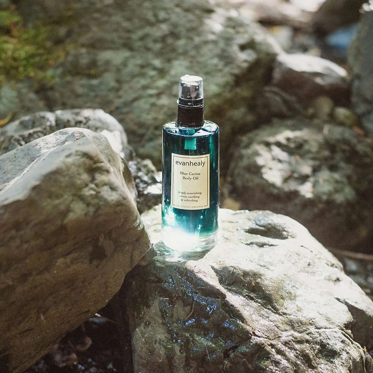 Blue Cactus Body Oil