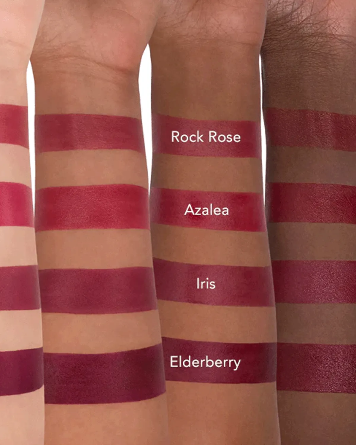 Lip Veil in Elderberry
