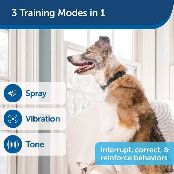PetSafe Remote Spray Trainer; 300 Metre