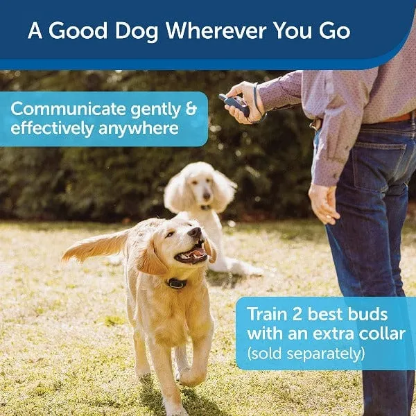 PetSafe Remote Spray Trainer; 300 Metre