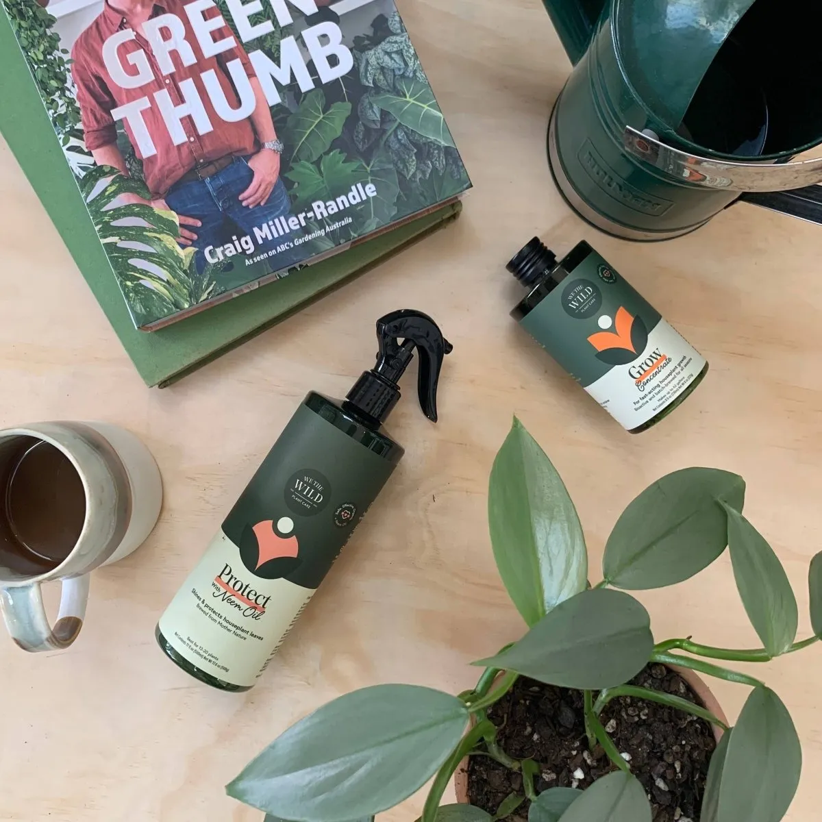 Protect Spray with Neem- Leaf protector & Shine Spray